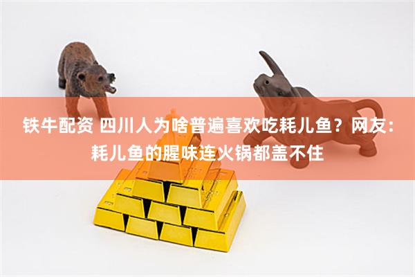铁牛配资 四川人为啥普遍喜欢吃耗儿鱼？网友：耗儿鱼的腥味连火锅都盖不住